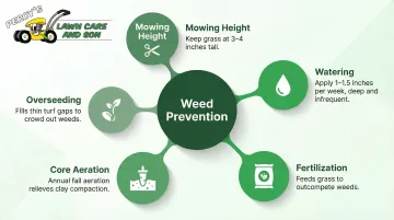 Five lawn care prevention strategies for controlling broadleaf weeds long-term