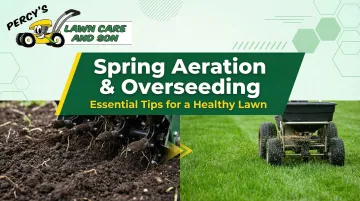 Spring Aeration and Overseeding: Essential Tips for a Healthy Lawn