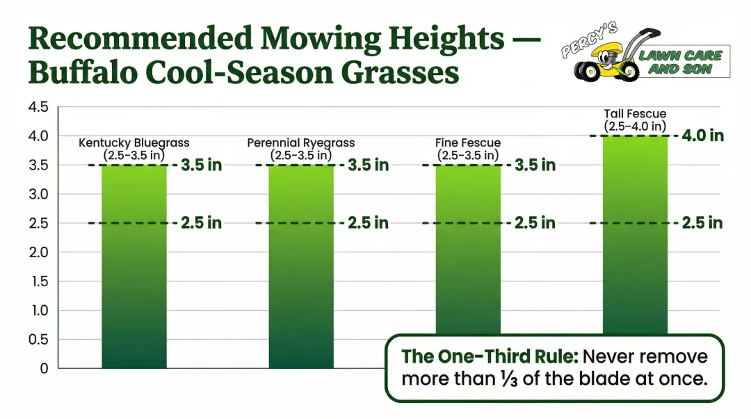 Cool-season grass mowing height guide for Buffalo Kentucky bluegrass fescue and ryegrass