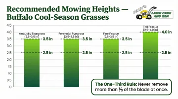 Cool-season grass mowing height guide for Buffalo Kentucky bluegrass fescue and ryegrass
