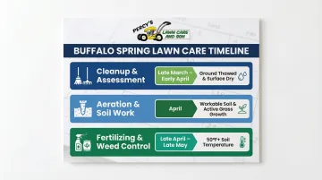 Buffalo spring lawn care timing framework with three task phases and conditions