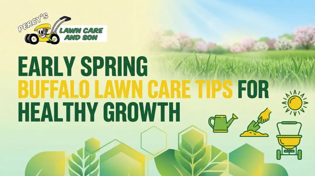 Early Spring Buffalo Lawn Care Tips for Healthy Growth