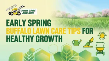 Early Spring Buffalo Lawn Care Tips for Healthy Growth