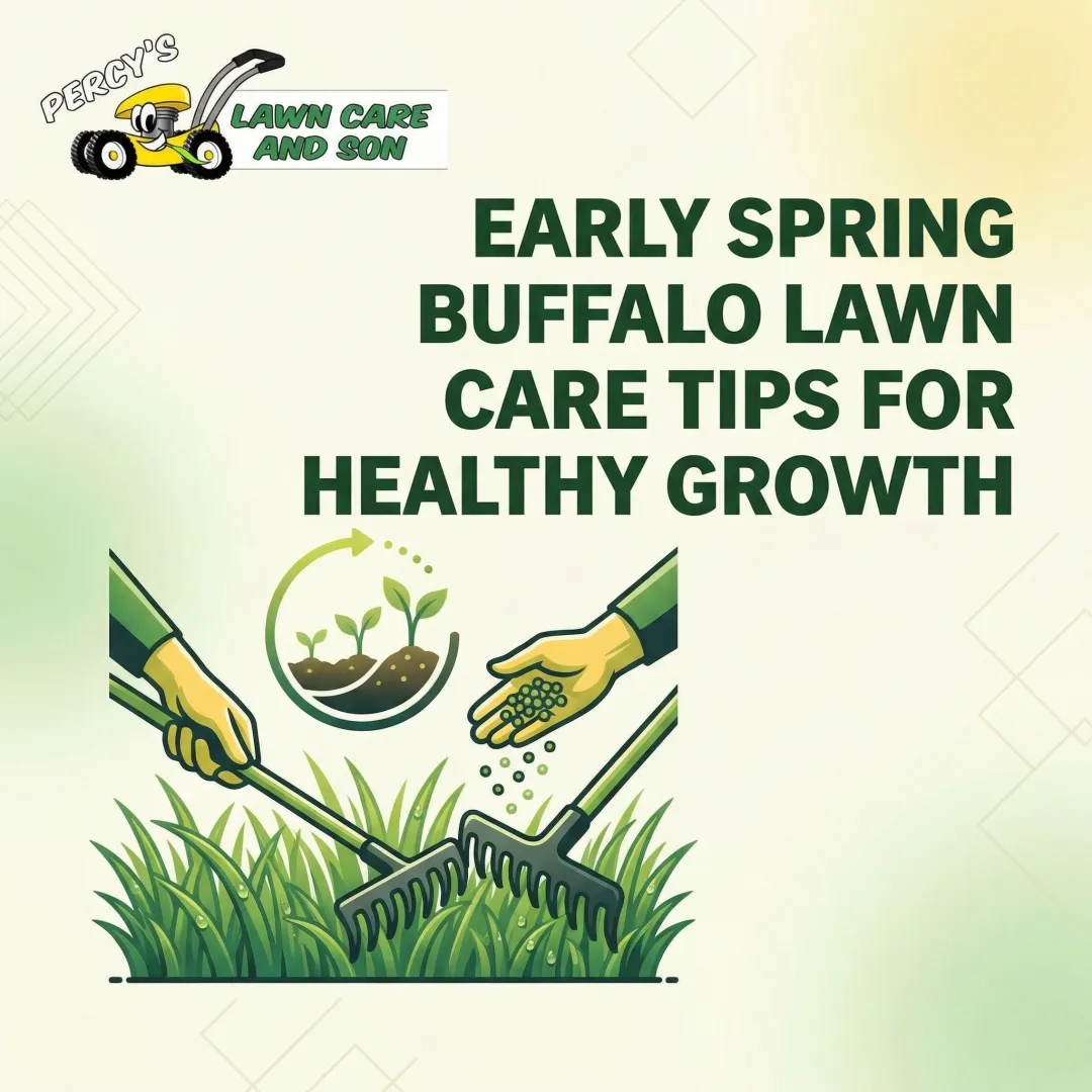 Early Spring Buffalo Lawn Care Tips for Healthy Growth