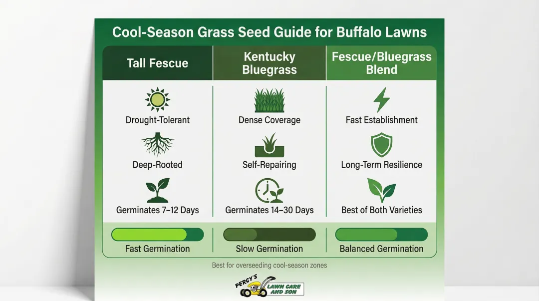 Buffalo lawn grass seed comparison chart germination times and key characteristics