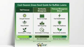 Buffalo lawn grass seed comparison chart germination times and key characteristics