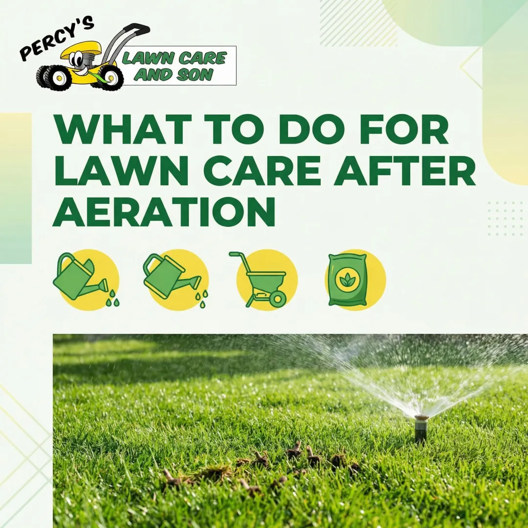 What to Do for Lawn Care After Aeration