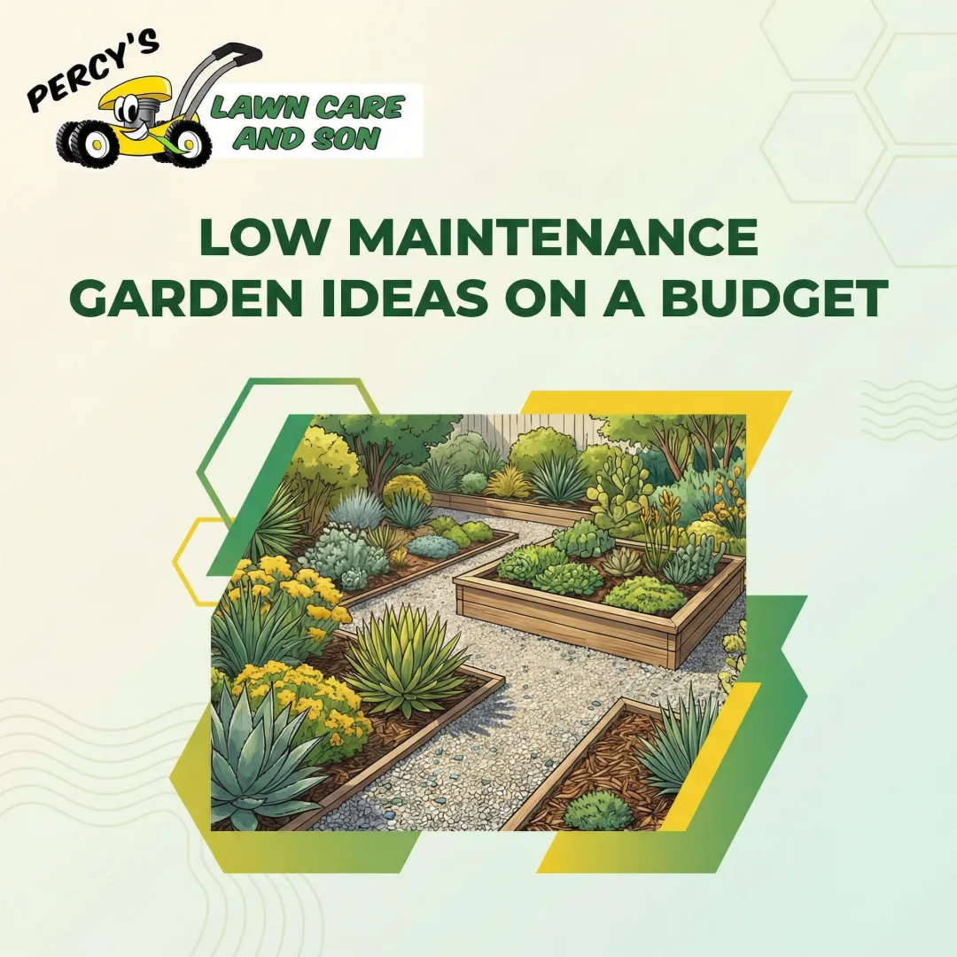Low Maintenance Garden Ideas on a Budget