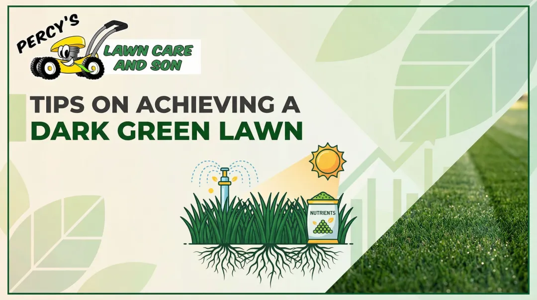 Tips on Achieving a Dark Green Lawn