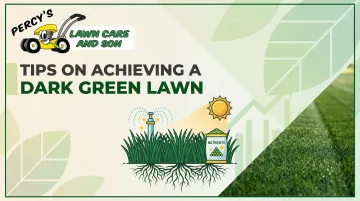 Tips on Achieving a Dark Green Lawn