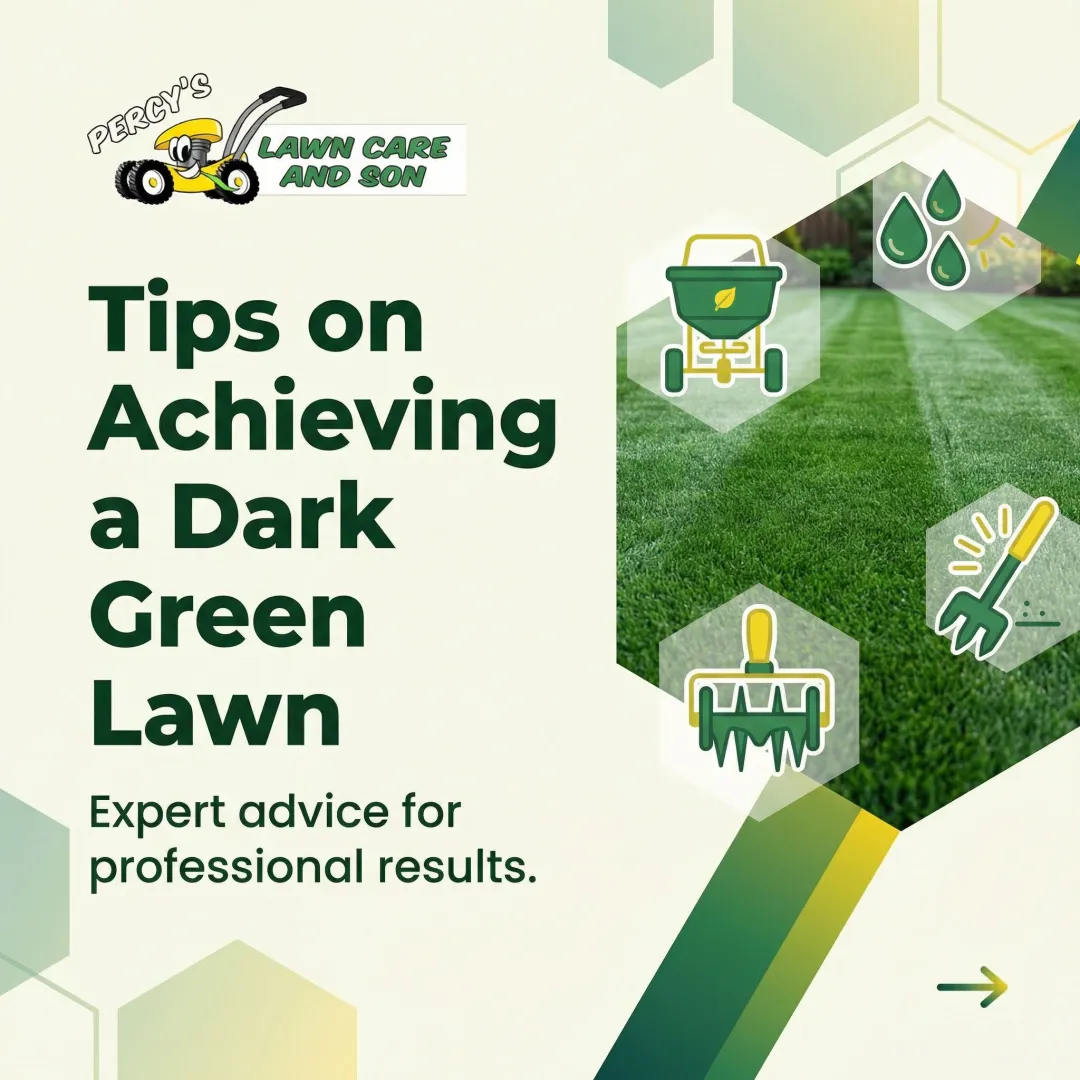 Tips on Achieving a Dark Green Lawn