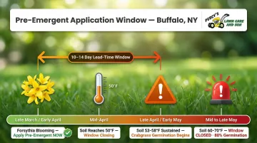 Pre-emergent crabgrass application timing window soil temperature and forsythia bloom guide