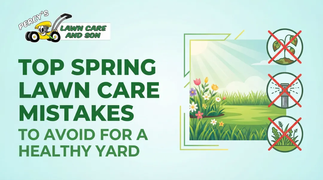 Top Spring Lawn Care Mistakes to Avoid for a Healthy Yard