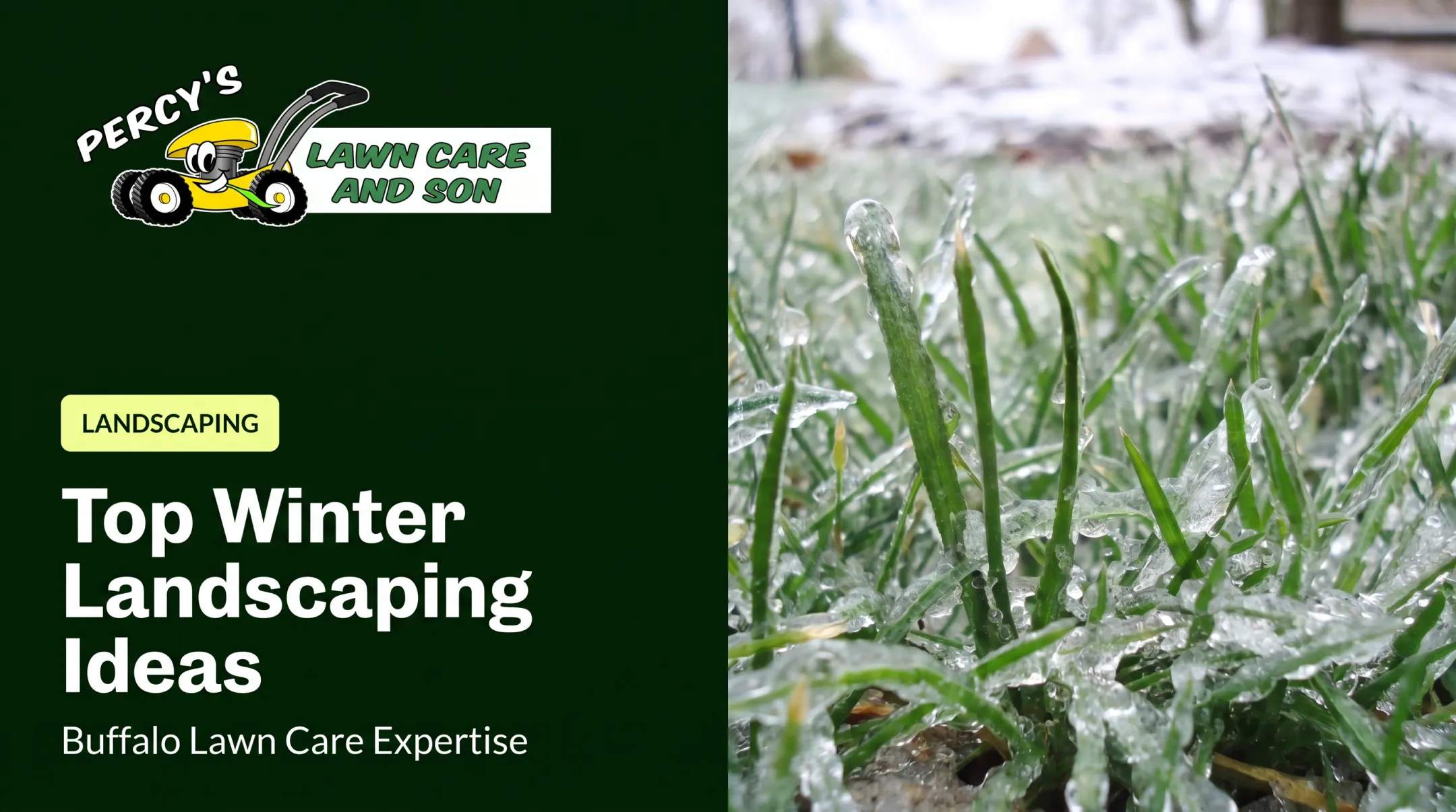 Top Winter Landscaping Ideas