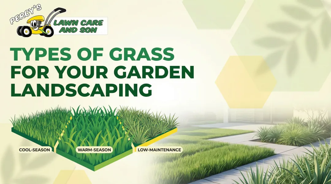 Types of Grass for Your Garden Landscaping