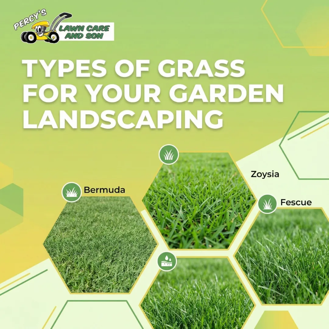 Types of Grass for Your Garden Landscaping
