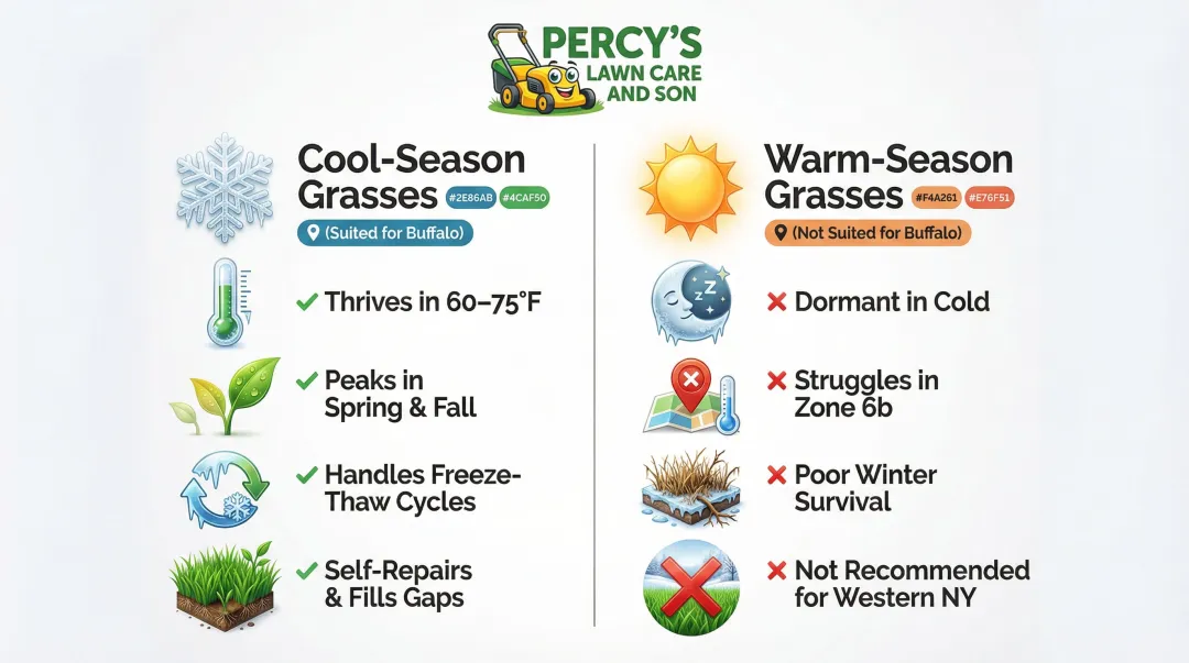 Cool-season versus warm-season grass comparison chart for Buffalo NY climate