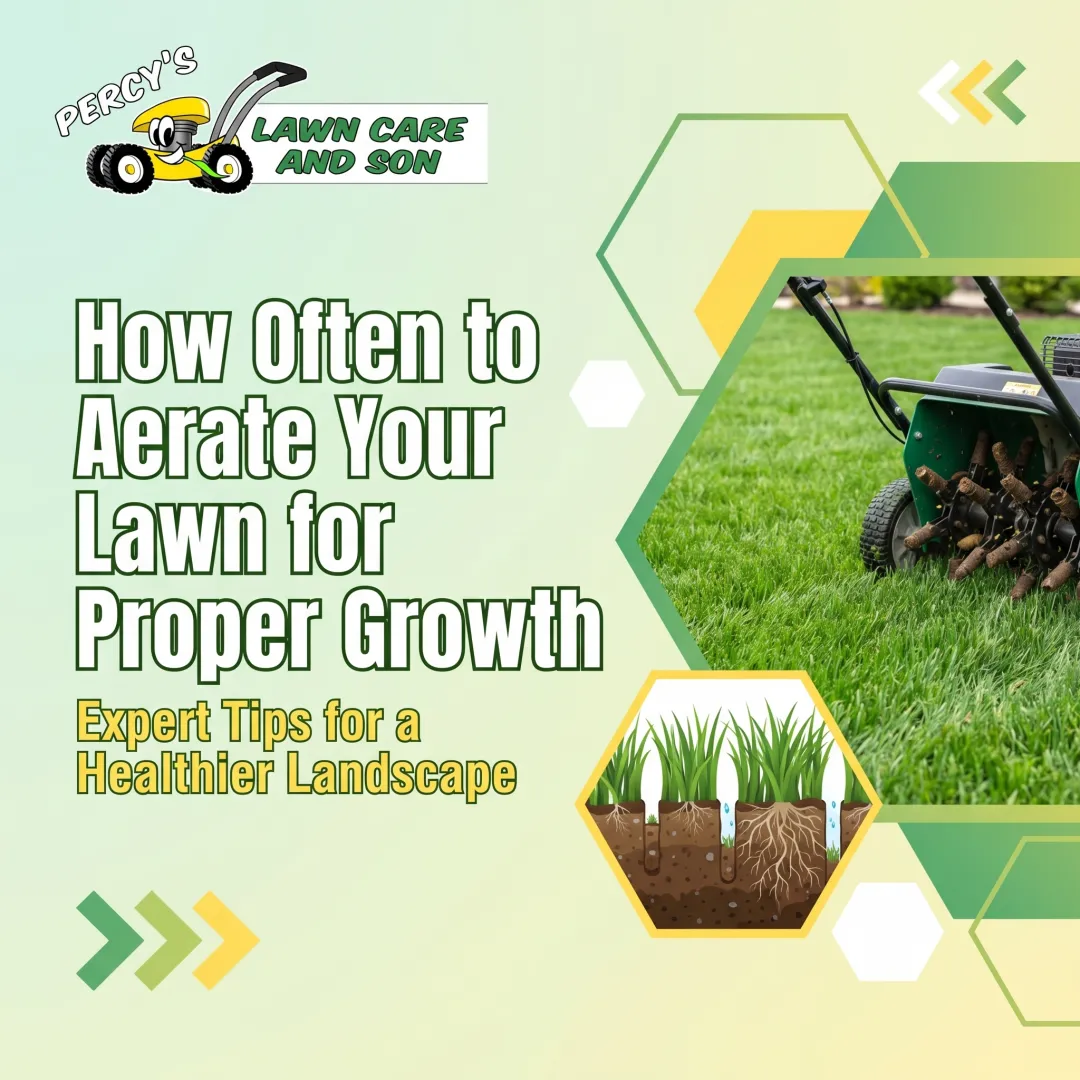 How Often to Aerate Your Lawn for Proper Growth
