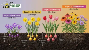 Buffalo seasonal bloom succession timeline from spring bulbs to fall asters