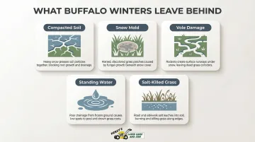 Five common Buffalo lawn damage types visible after winter snow recedes