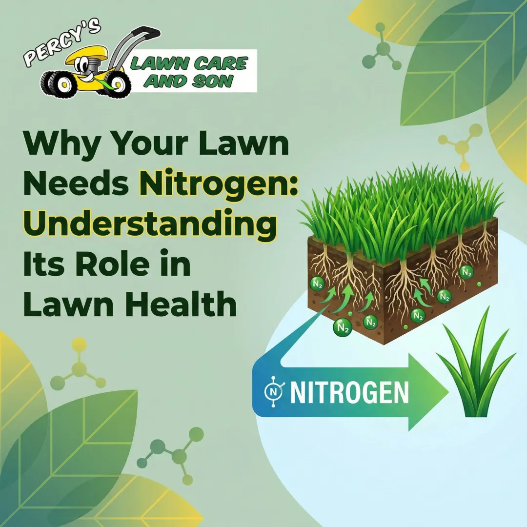 Why Your Lawn Needs Nitrogen: Understanding Its Role in Lawn Health