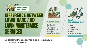 Difference between Lawn Care and Lawn Maintenance Services