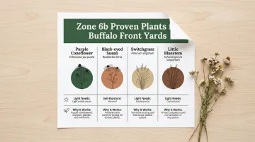 Four Buffalo-hardy native plants comparison chart with light soil and maintenance details