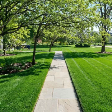 Lush, weed-free residential lawn with clean edges and vibrant green grass after professional lawn care treatment