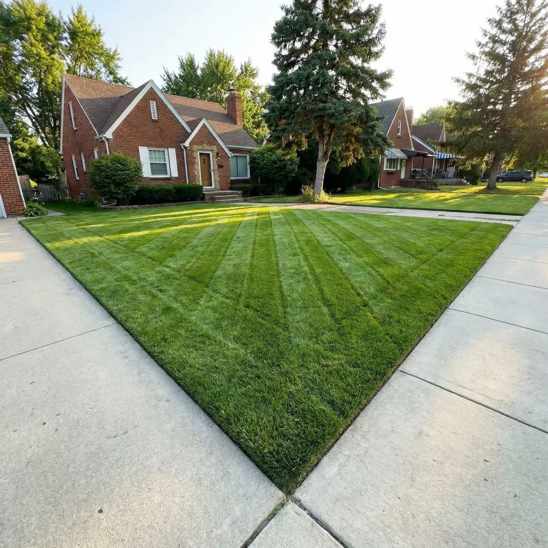 Healthy, well-maintained lawn in Buffalo neighborhood during summer