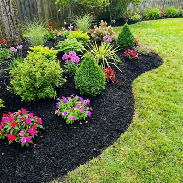 Neatly maintained residential garden bed with fresh mulch and trimmed shrubs alongside a green lawn