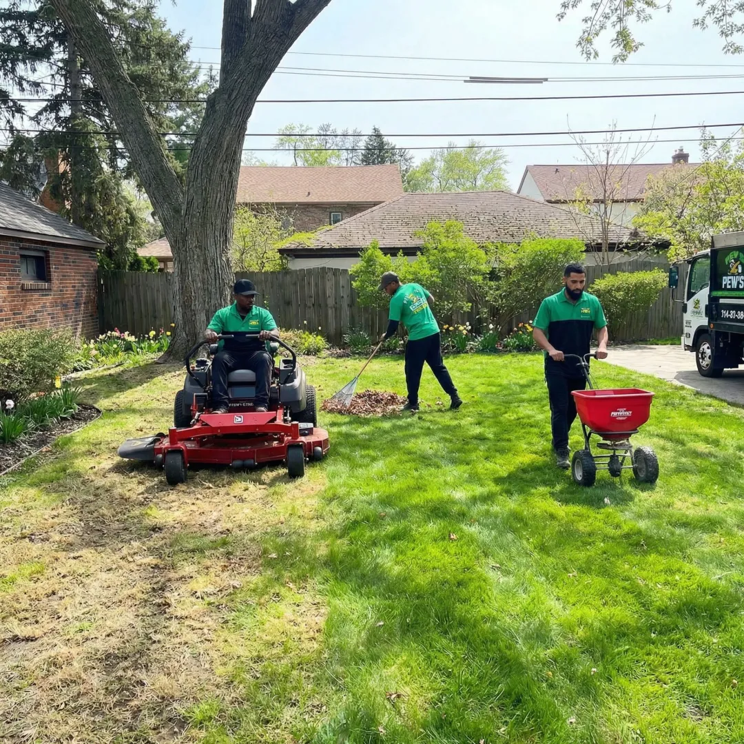Spring Cleanup
