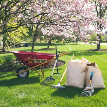 Healthy green lawn after professional spring cleanup and fertilization in Buffalo