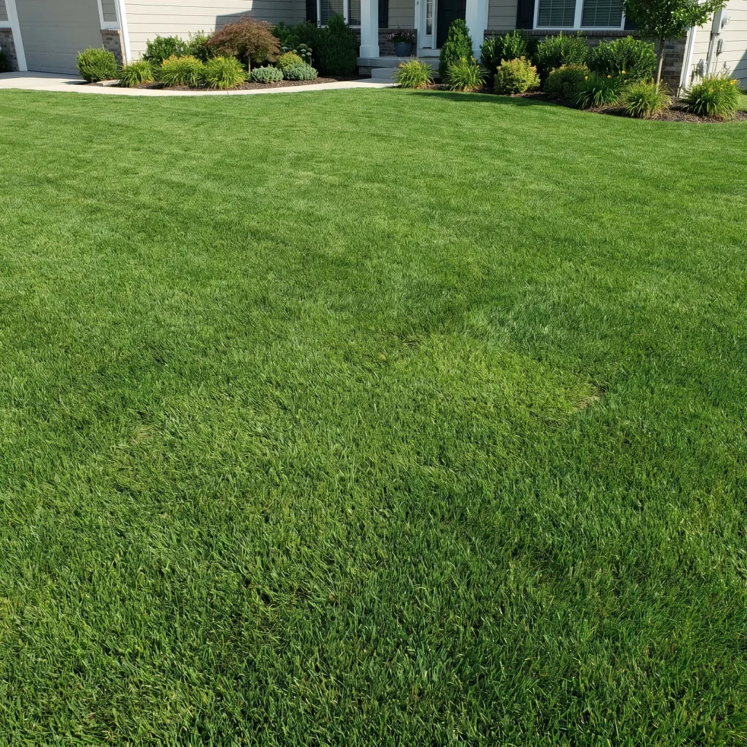 Professional Turf Restoration Services