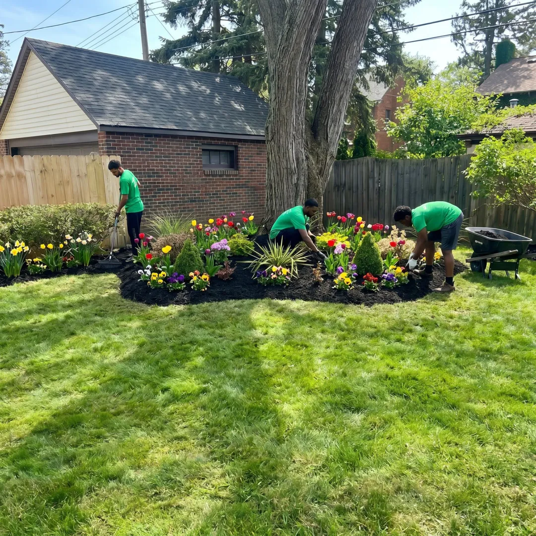 Spring Landscape Design & Outdoor Services