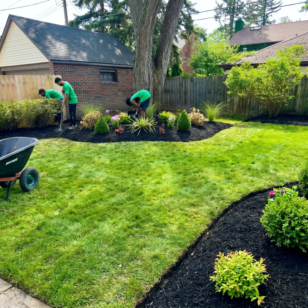 Freshly mulched beds and green lawn in spring