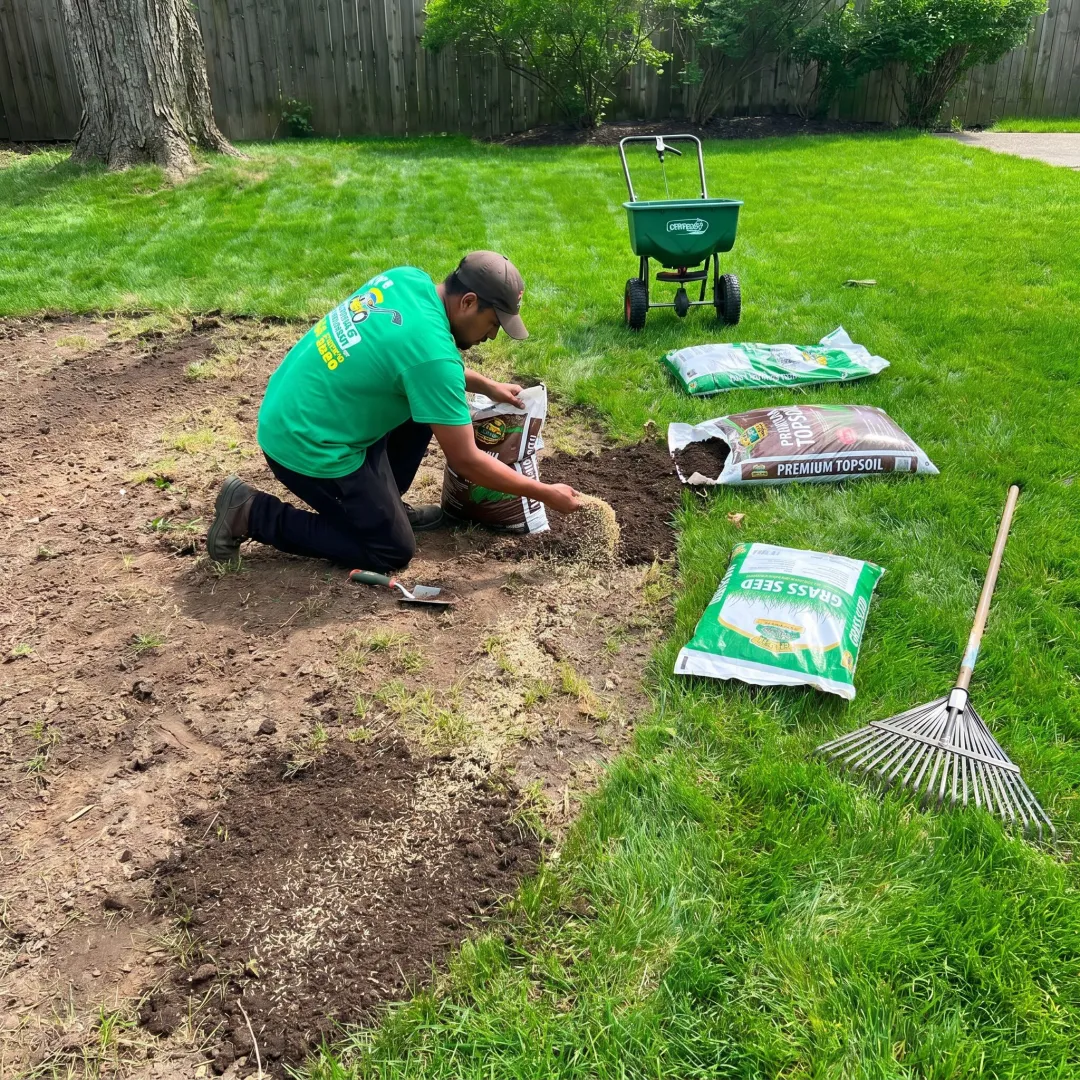 Lawn Patch & Repair Solutions