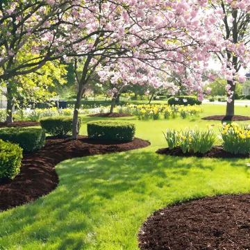 Freshly cleaned spring lawn and garden beds