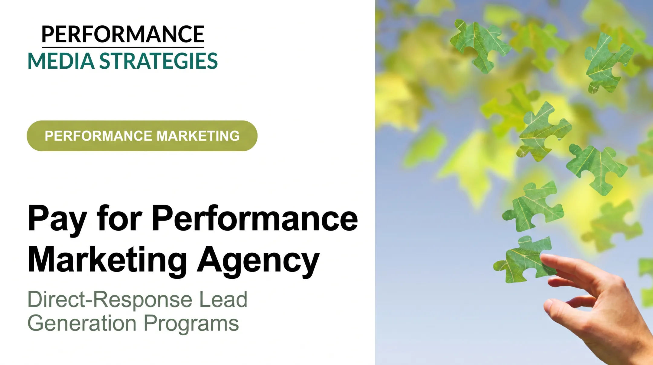 Pay for Performance Marketing Agency