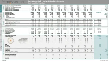 PetroVybe ONE natural gas investment platform showing project details dashboard