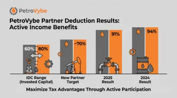 PetroVybe partner deduction percentages against active income by year