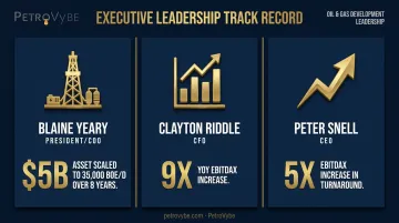 PetroVybe leadership team track record comparison across three executives