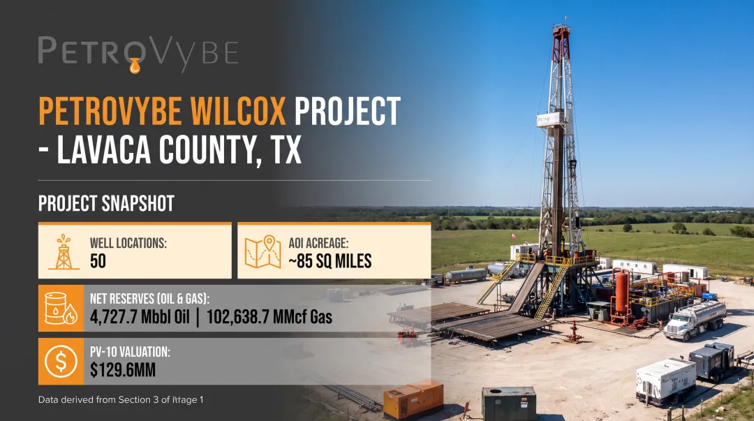 PetroVybe ONE natural gas development project acreage and well data overview