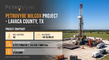 PetroVybe ONE natural gas development project acreage and well data overview