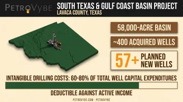 South Texas natural gas basin project stats and IDC deduction breakdown