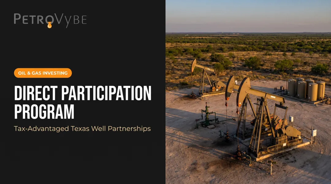 Direct Participation Program (DPP)