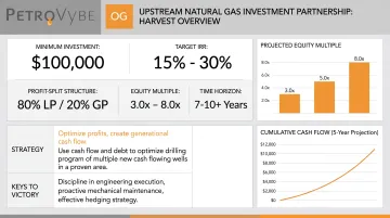 PetroVybe upstream investment partnership dashboard showing return targets and structure