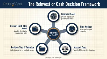 Five factors to weigh when choosing between dividend reinvestment and cash