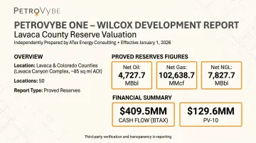 PetroVybe reserve engineering report for Lavaca County oil and gas acreage