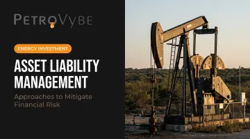 Asset Liability Management: Approaches to Mitigate Financial Risk
