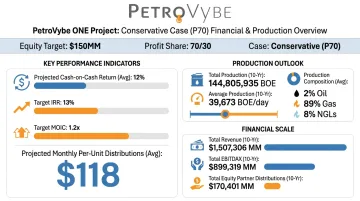 PetroVybe natural gas project cash flow and return metrics overview